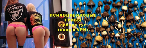 мяу мяу кристалл Нефтекумск