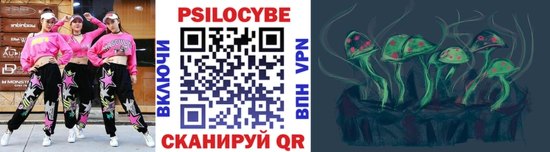 omg зеркало  Щёкино  Псилоцибиновые грибы прущие грибы  цены наркотик 